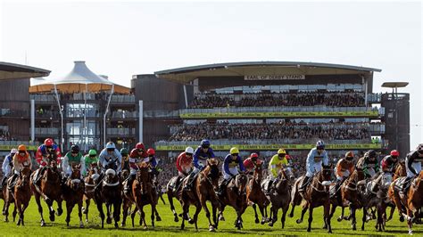 aintree grand national top offers.